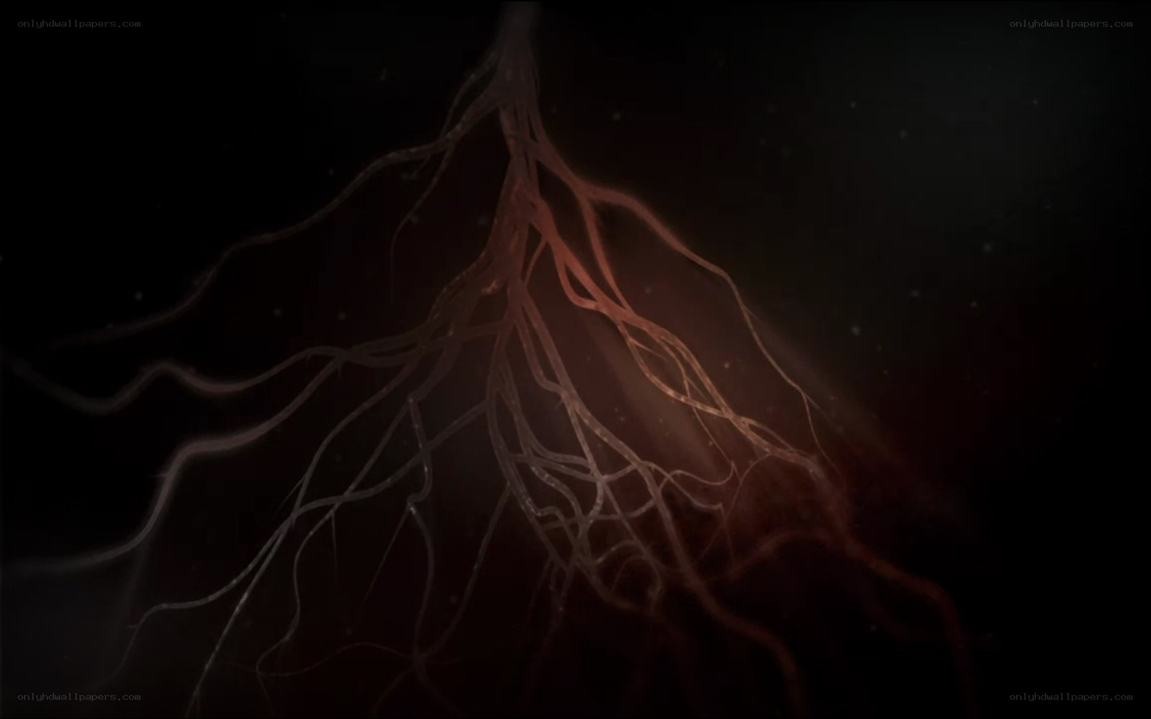 glowing root network