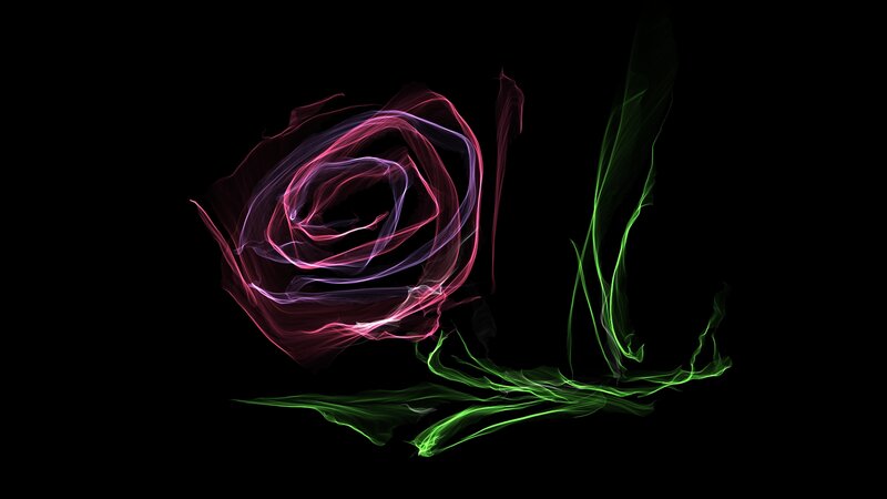 Glowing Rose Flower — Pink