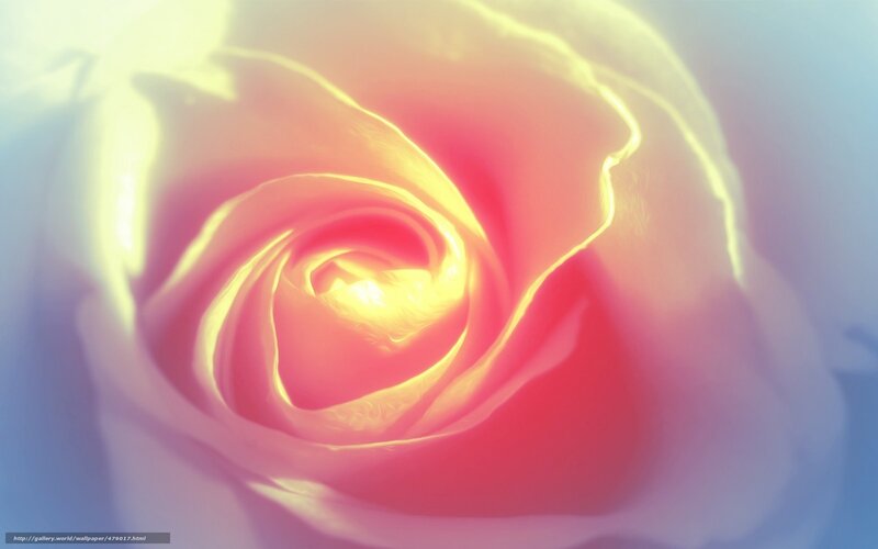 glowing rose spiral