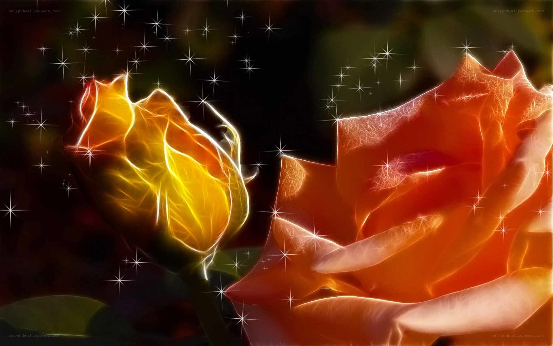 glowing roses with stars