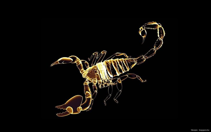 Glowing Scorpion Skeleton — Yellow