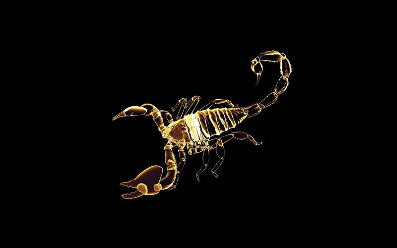 Glowing Scorpion