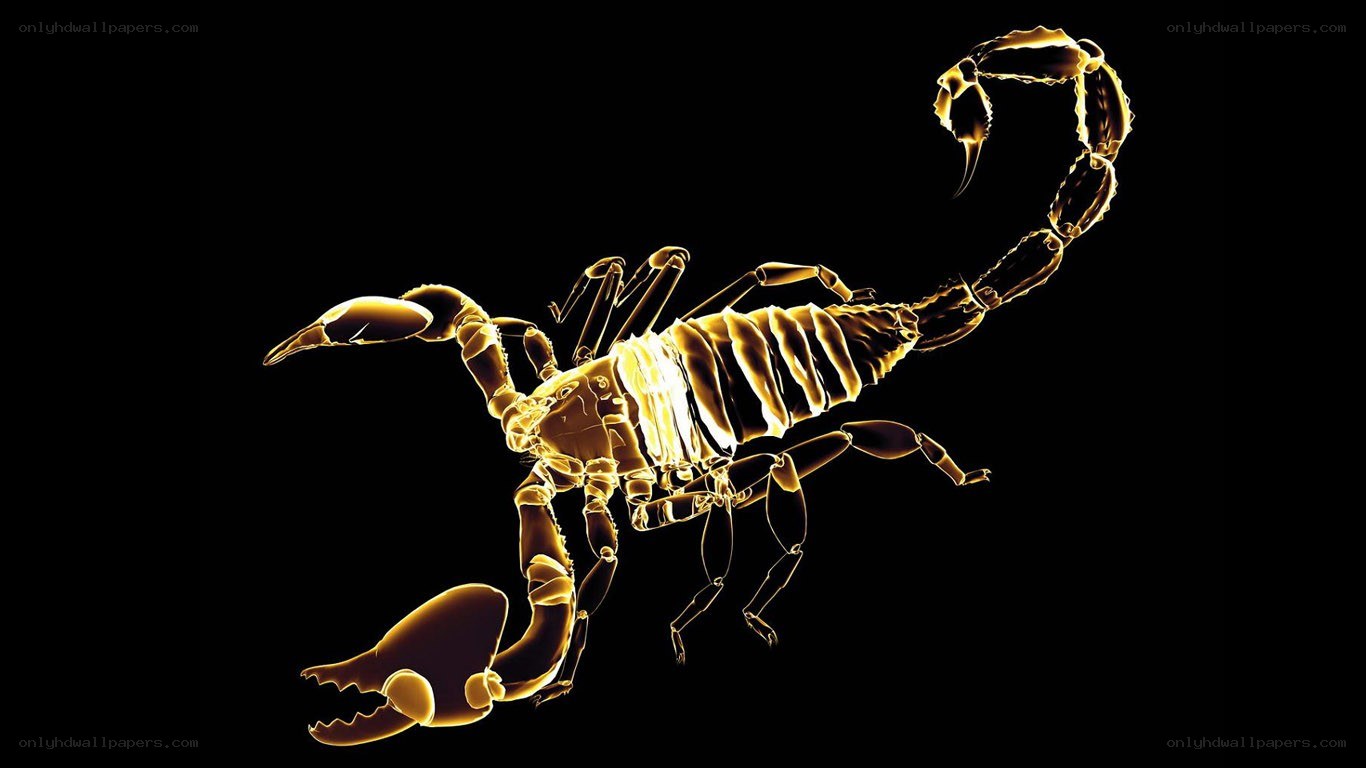 glowing scorpion x-ray