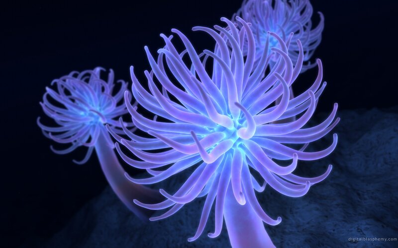 Glowing Sea Anemones — Blue, Serene