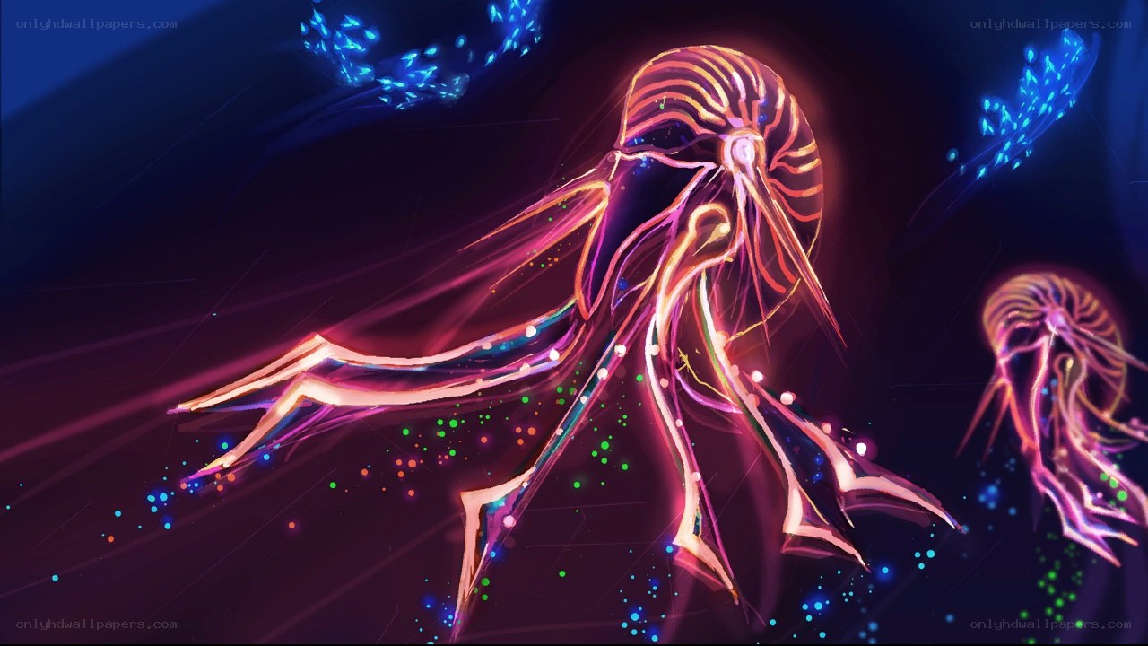 glowing sea creatures in dark water
