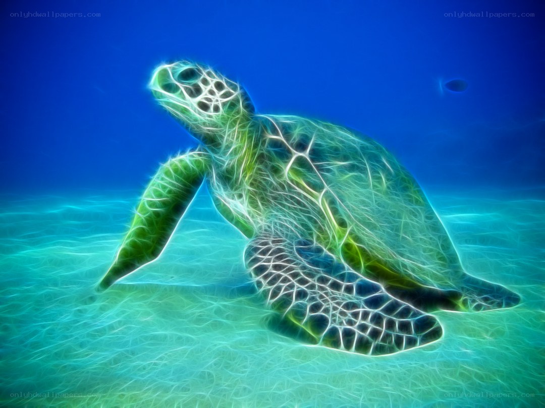 glowing sea turtle underwater