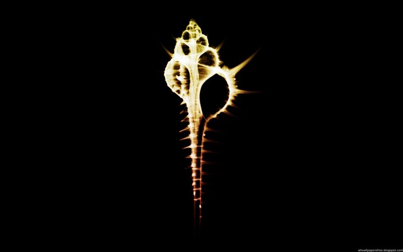 Glowing Seashell — Black