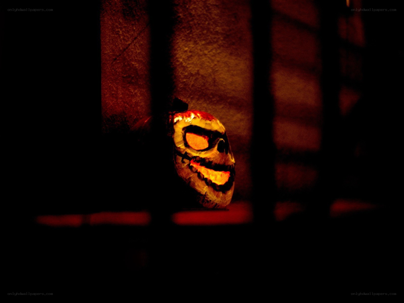 glowing skull in dark room