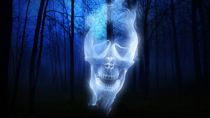 Glowing Skull in Forest