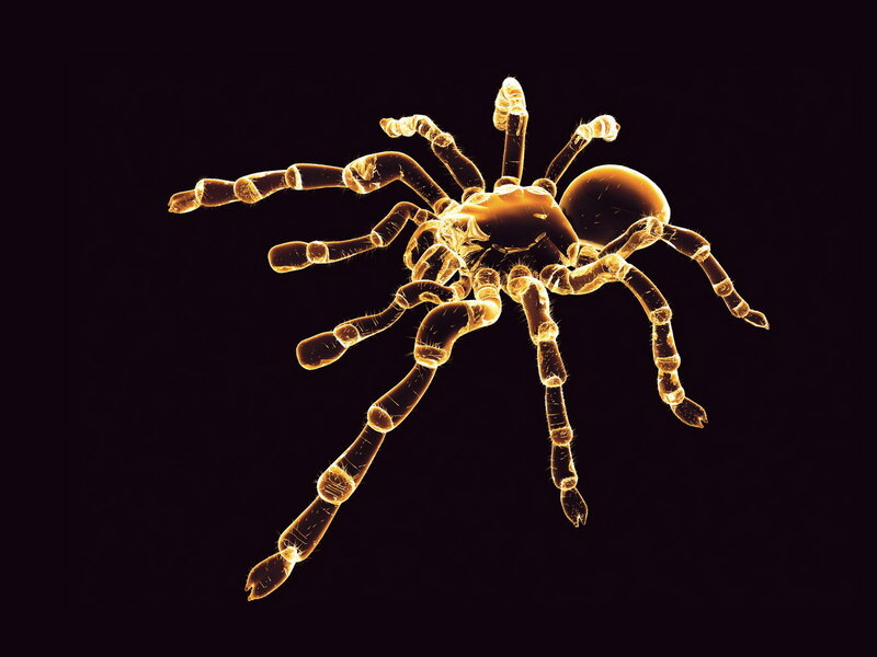 glowing spider illustration