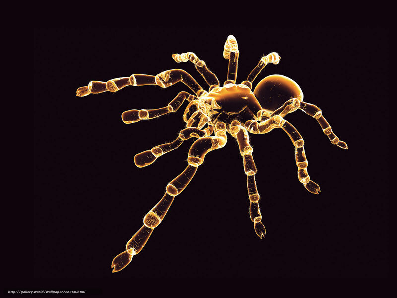 glowing spider on black