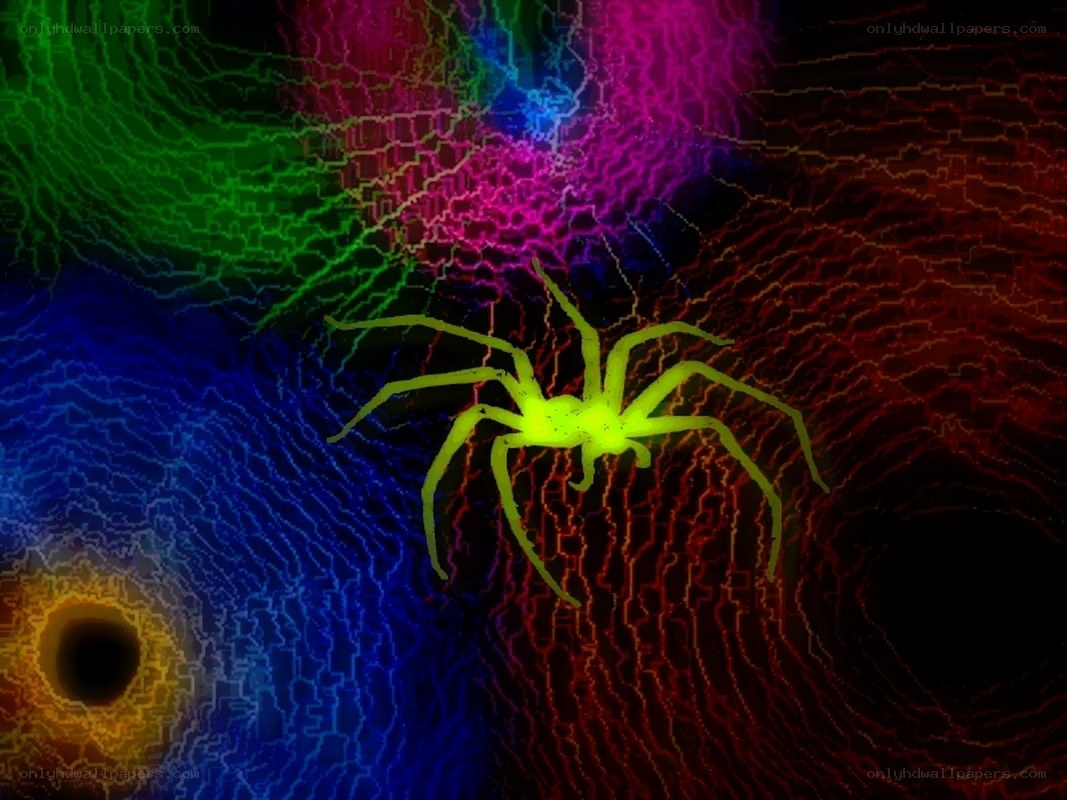 glowing spider on colorful background