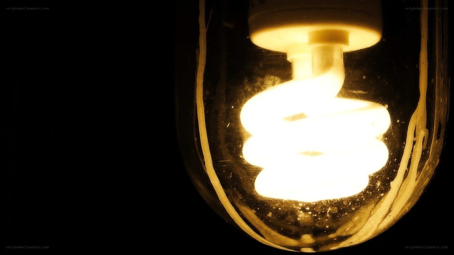 glowing spiral light bulb