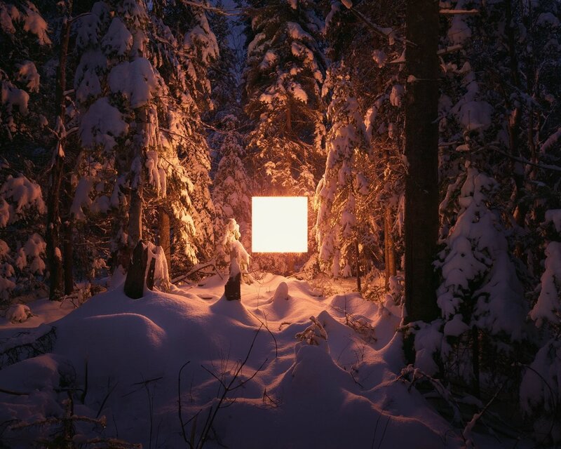 Glowing Square in Forest