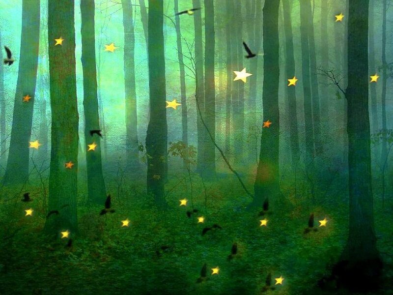 Glowing Stars in Forest