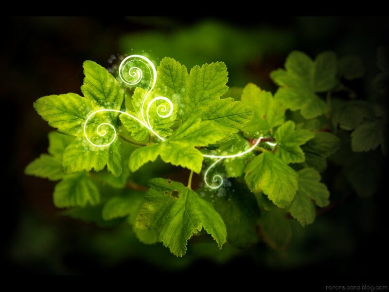 glowing swirls on green leaves
