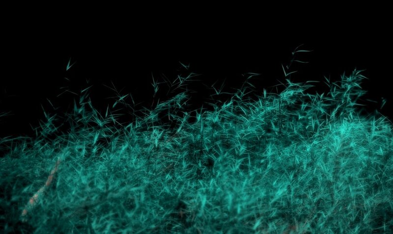glowing teal grass at night