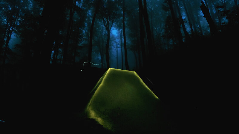 Glowing Tent in Forest — Green