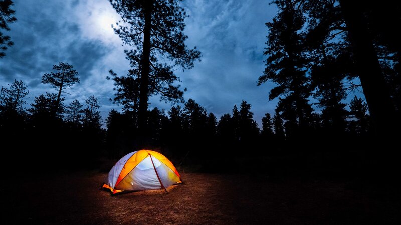 Glowing Tent in Forest — Orange