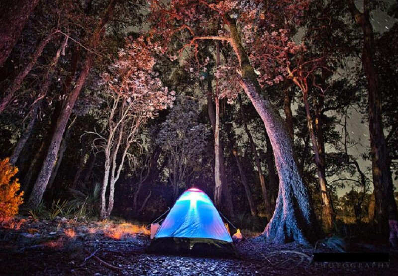 Glowing Tent in Forest