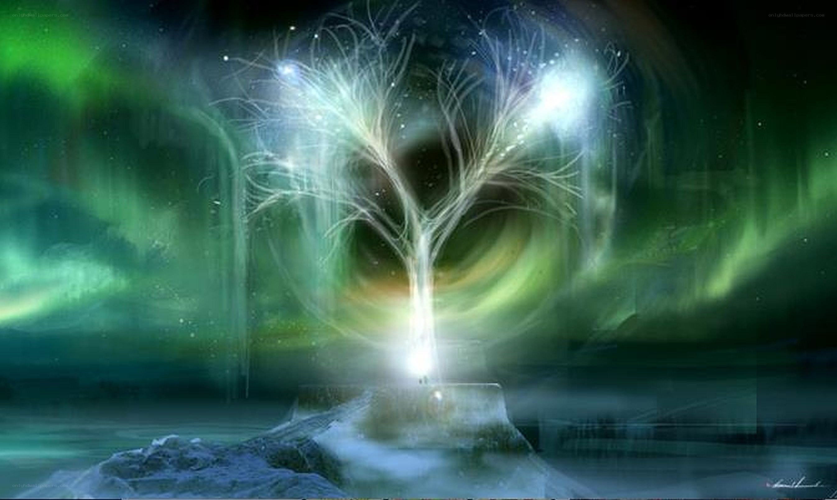 glowing tree in aurora