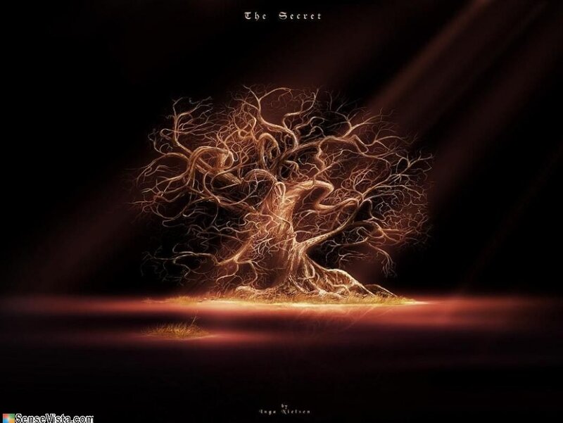 Glowing Tree in Darkness — Black