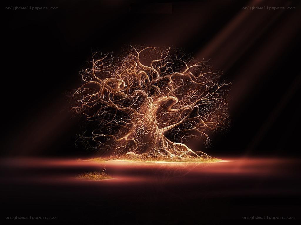 glowing tree in darkness