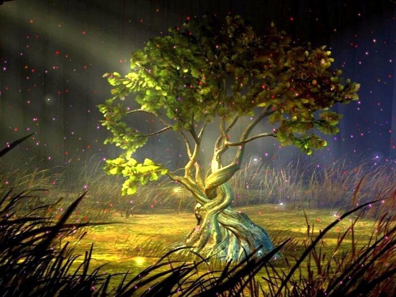 Glowing Tree in Field