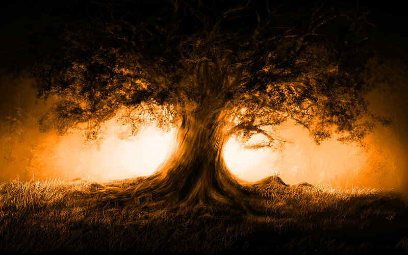 Glowing tree in mist