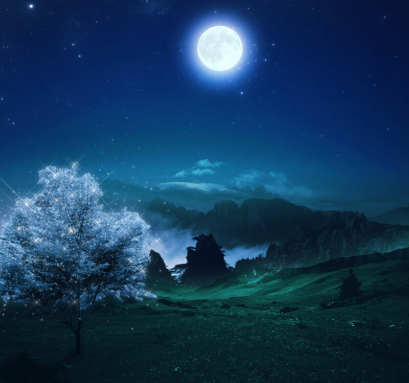 Glowing Tree in Moonlight
