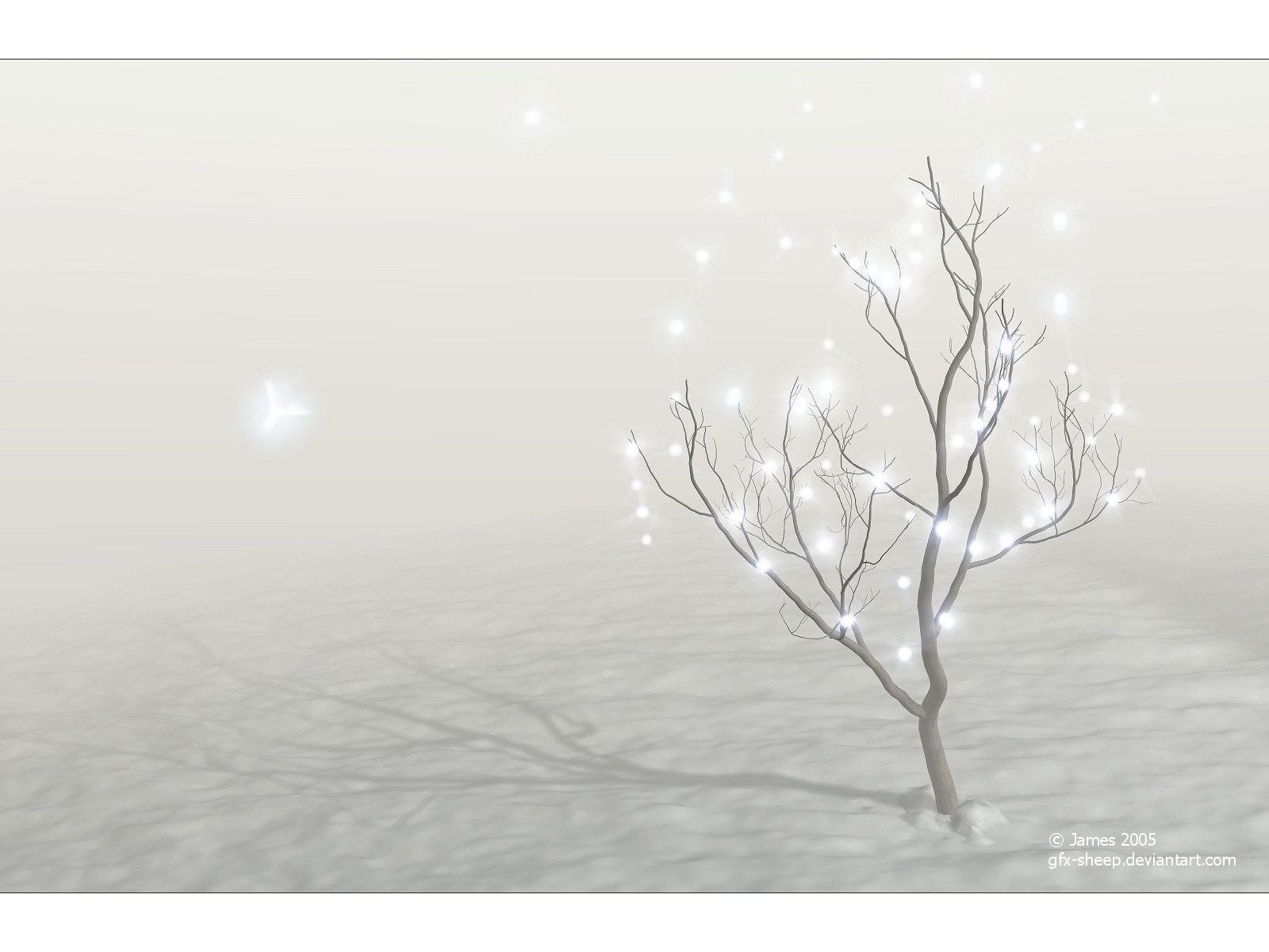 glowing tree in snow