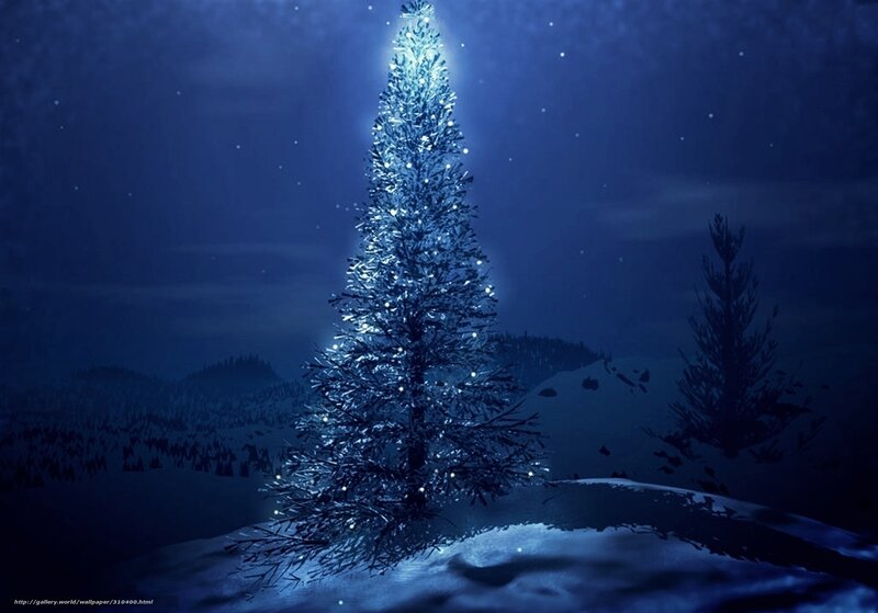 glowing tree in snowy night