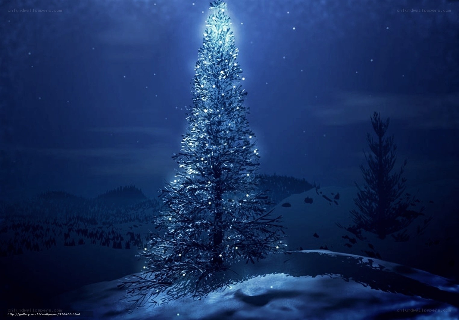 glowing tree in snowy night