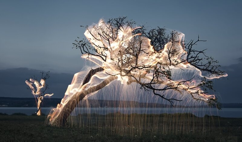 Glowing Tree on Hillside
