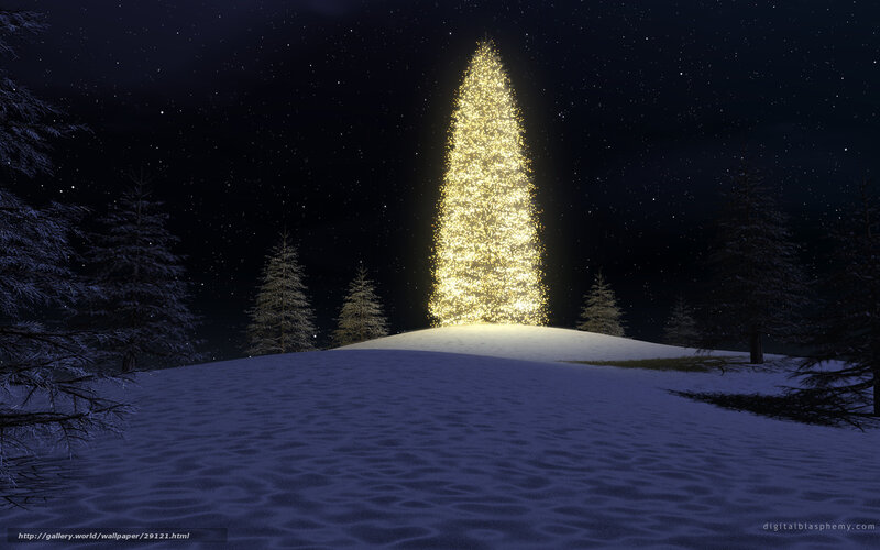 glowing tree on snowy hill