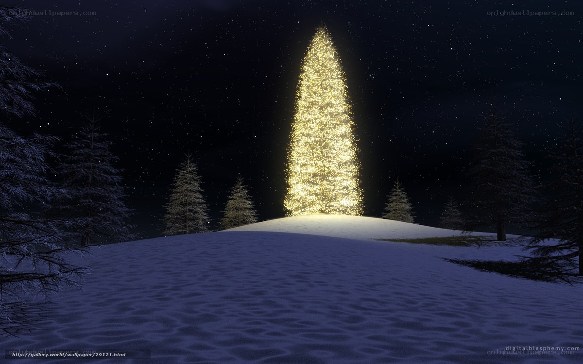 glowing tree on snowy hill