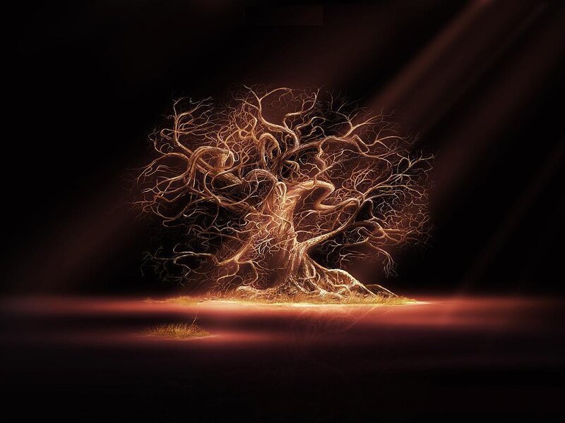 Glowing Tree Roots — Black, Dramatic, Night