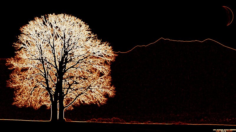 Glowing Tree Silhouette