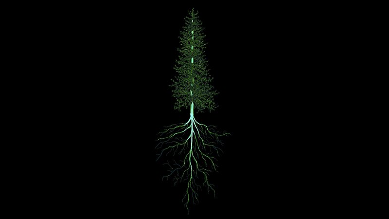 Glowing Tree with Roots