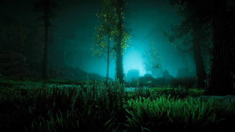 Glowing Trees in Forest