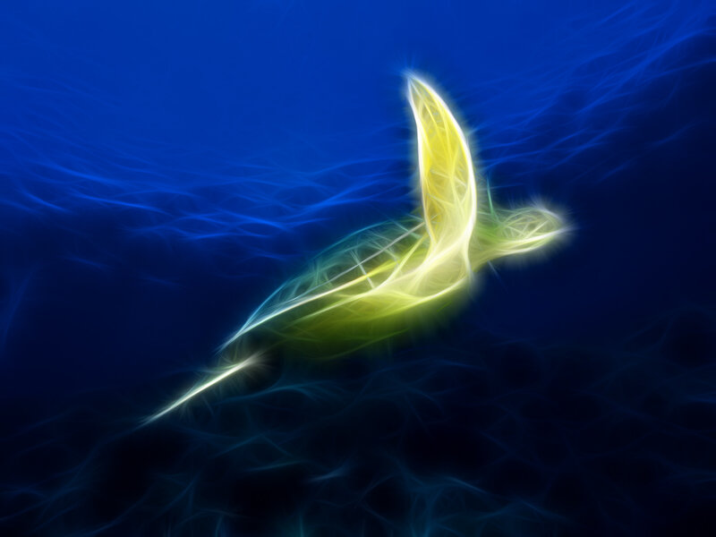 glowing turtle in blue water