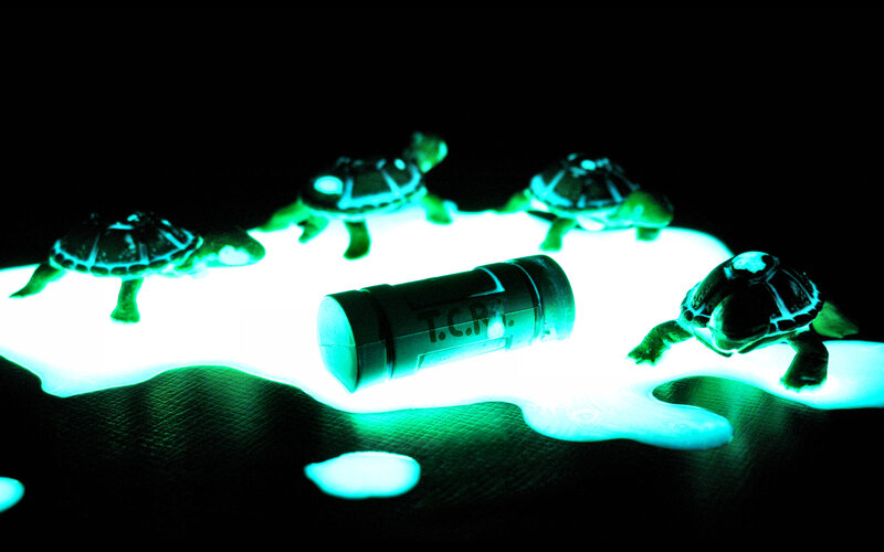 glowing turtles and container