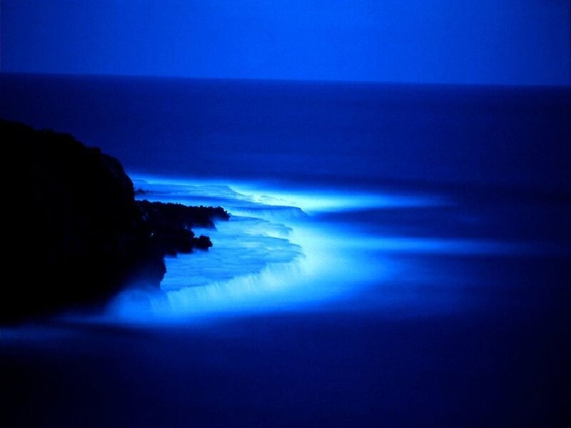 Glowing Waves at Night
