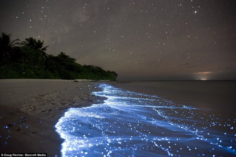 Glowing Waves on Beach — Blue, Serene