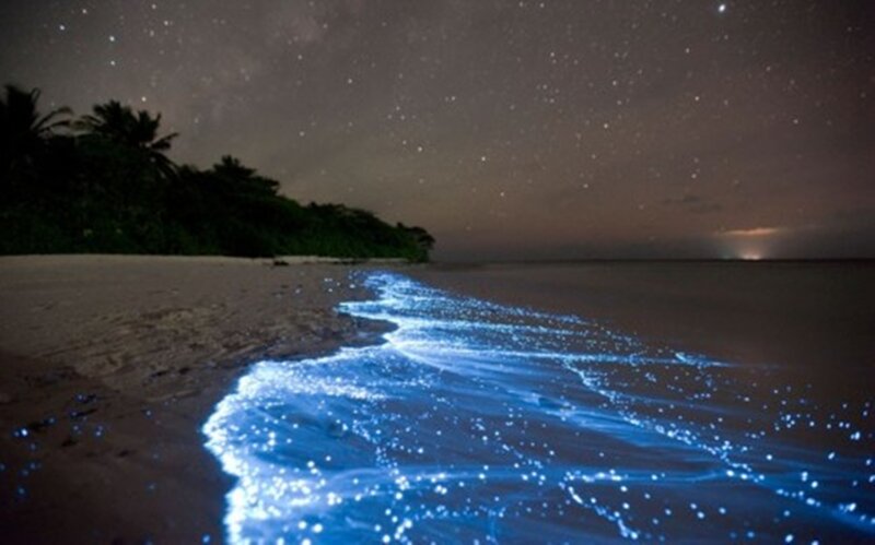 Glowing Waves on Beach — Blue