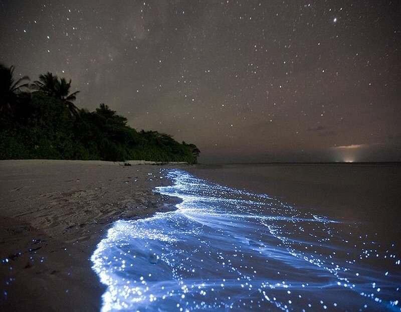 Glowing Waves on Beach