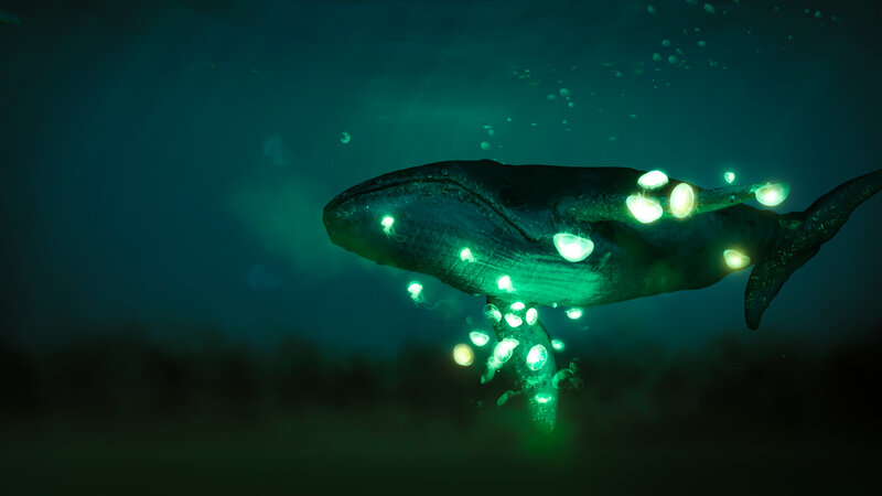 Glowing Whale Underwater