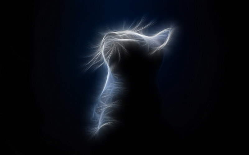glowing white cat silhouette