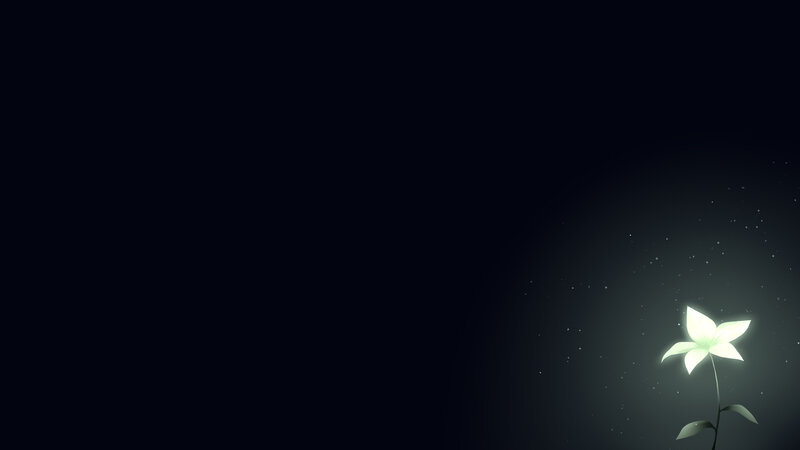 Glowing White Flower — Black