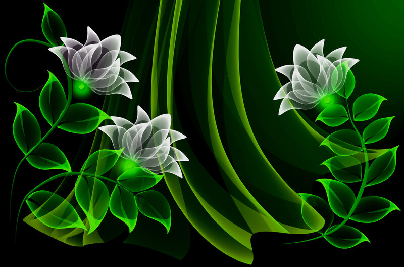 Glowing White Flowers — Black